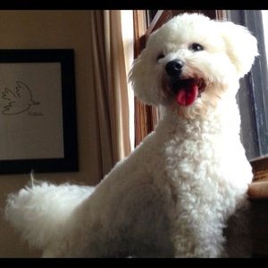 Meet your Posher, Deborah